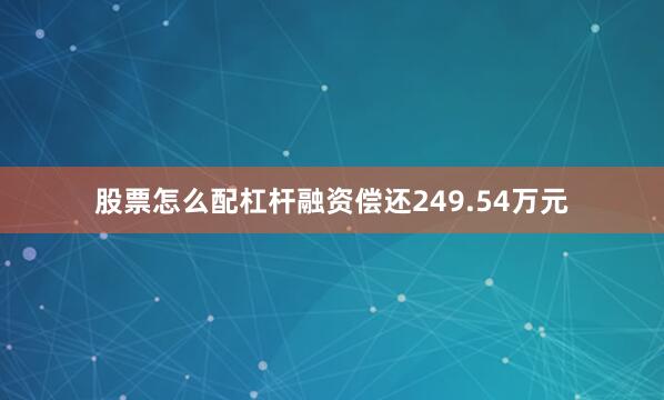 股票怎么配杠杆融资偿还249.54万元